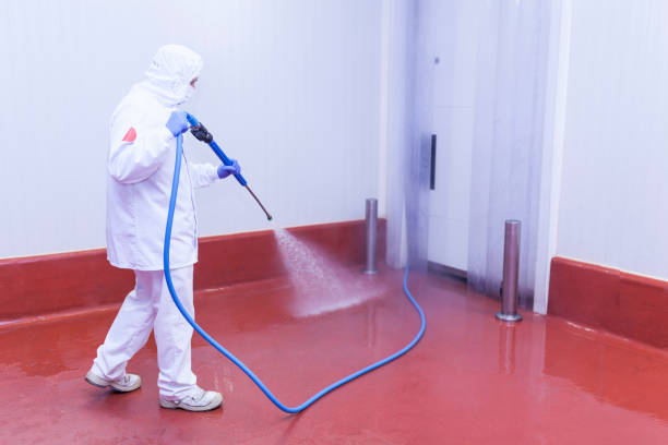 Best Rust and Stain Removal in Wellman, IA