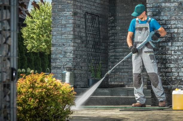 Best Soft Washing for Delicate Surfaces in Wellman, IA