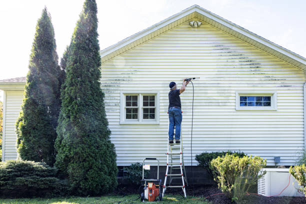 Trusted Wellman, IA Pressure Washing Services Experts